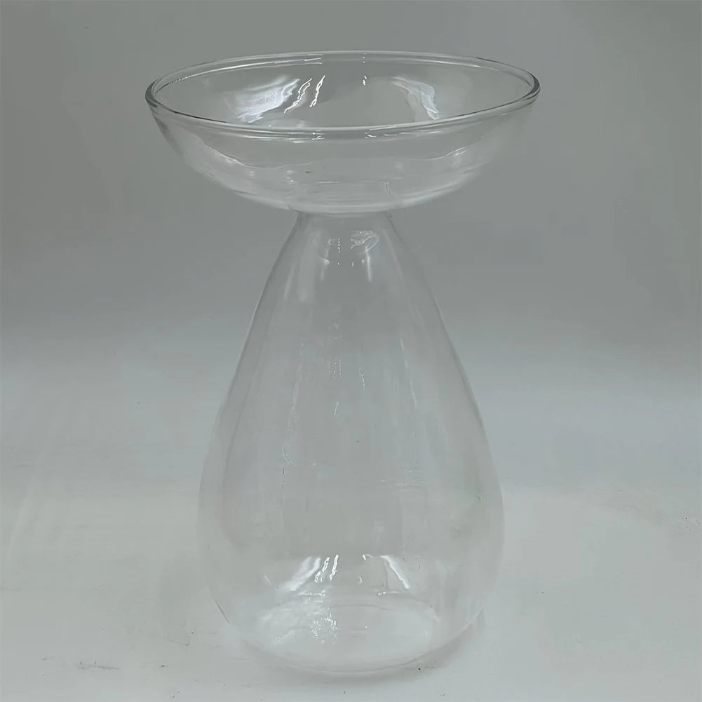 Avocado Seed Starter Vase Transparent Avocado Hydroponic Vase Plant Propagation Station Gardening Lovers Home Decor