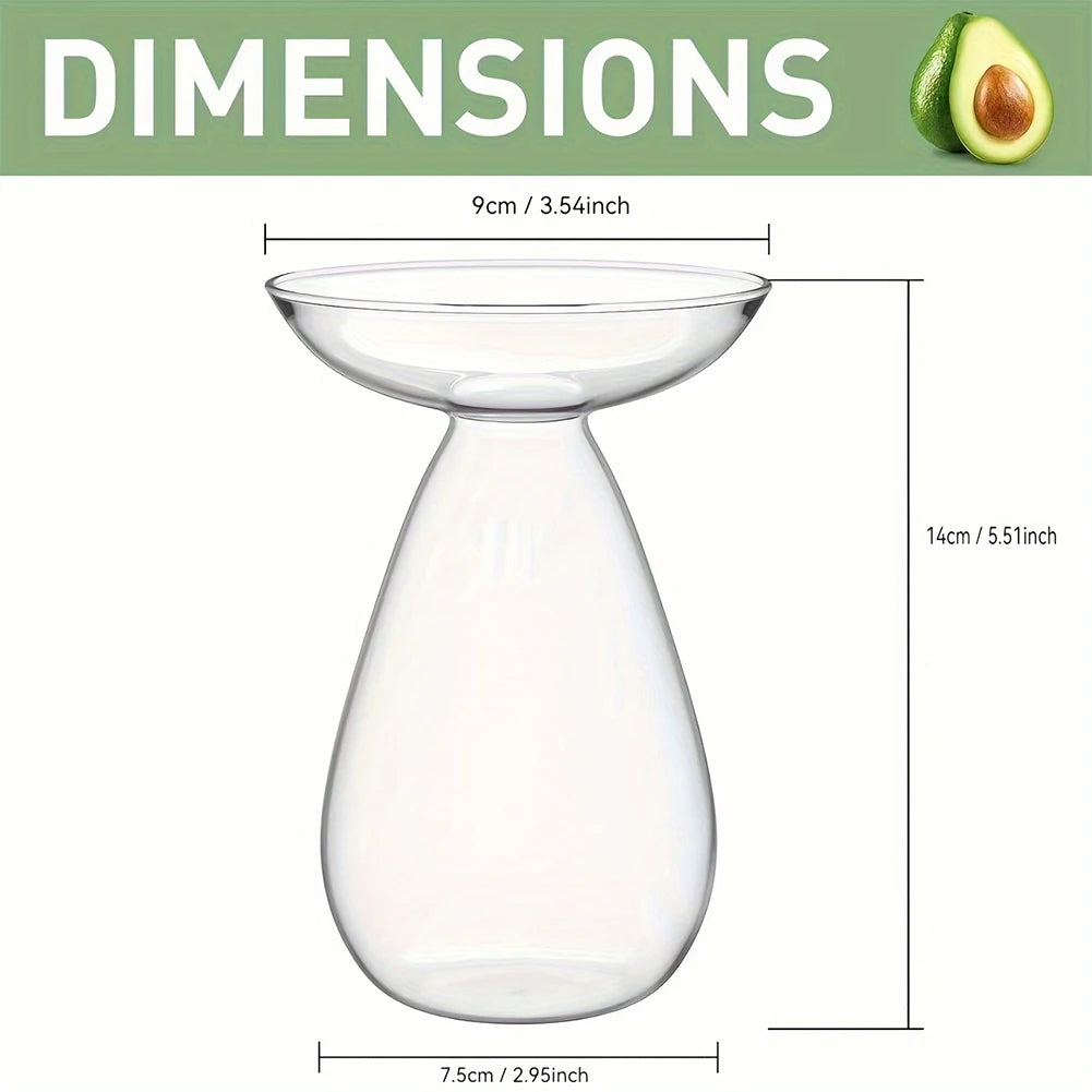 Avocado Seed Starter Vase Transparent Avocado Hydroponic Vase Plant Propagation Station Gardening Lovers Home Decor