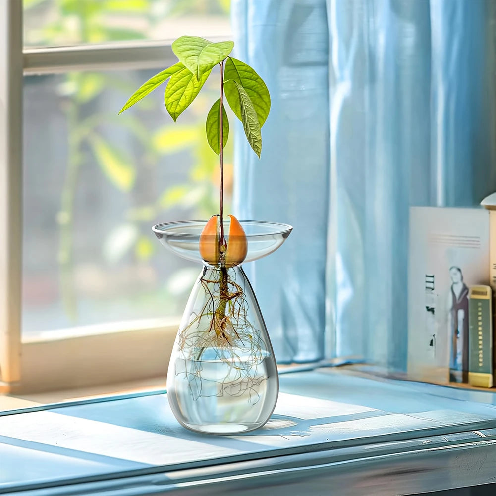 Avocado Seed Starter Vase Transparent Avocado Hydroponic Vase Plant Propagation Station Gardening Lovers Home Decor