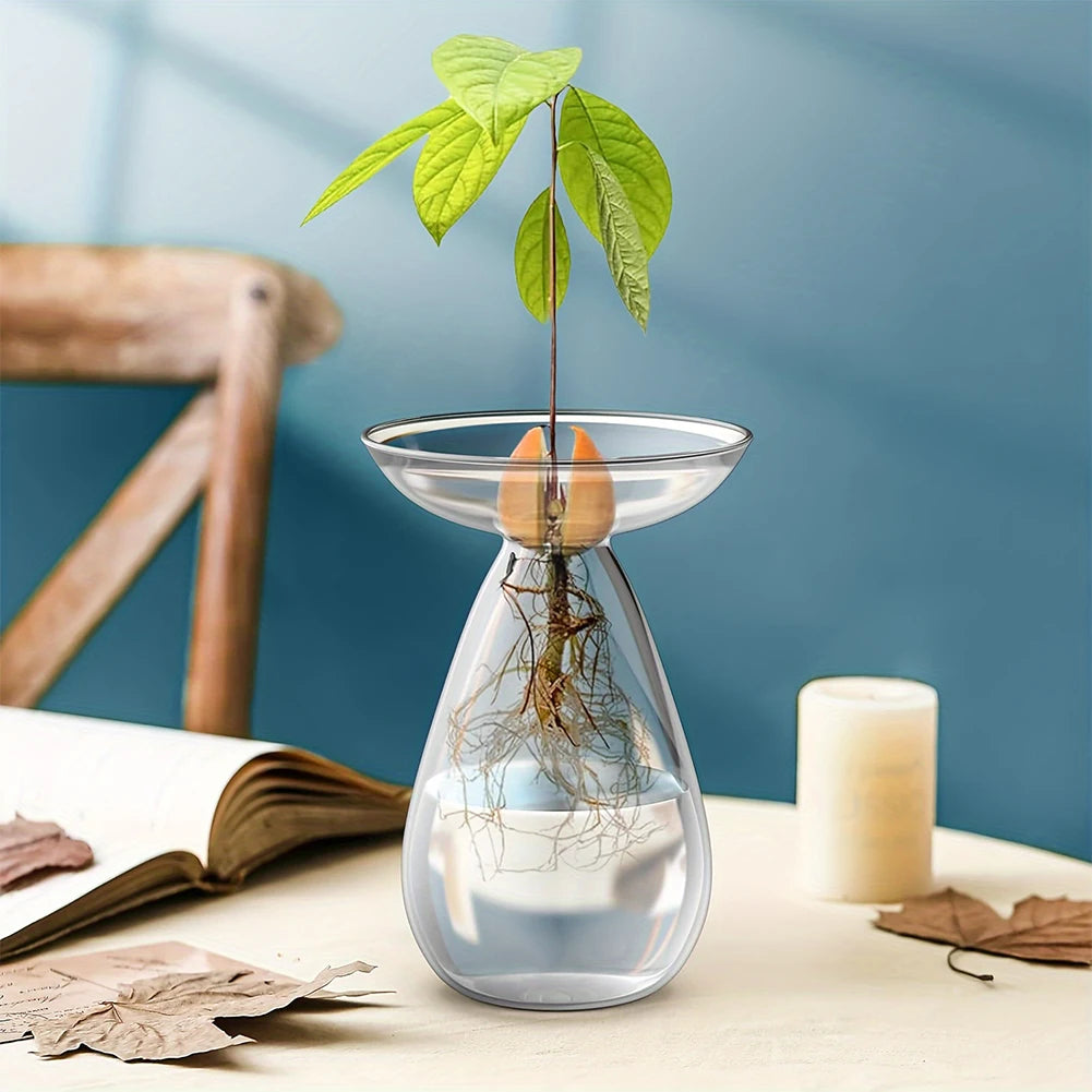 Avocado Seed Starter Vase Transparent Avocado Hydroponic Vase Plant Propagation Station Gardening Lovers Home Decor
