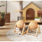 Cat Scratching Ball Toy