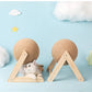 Cat Scratching Ball Toy
